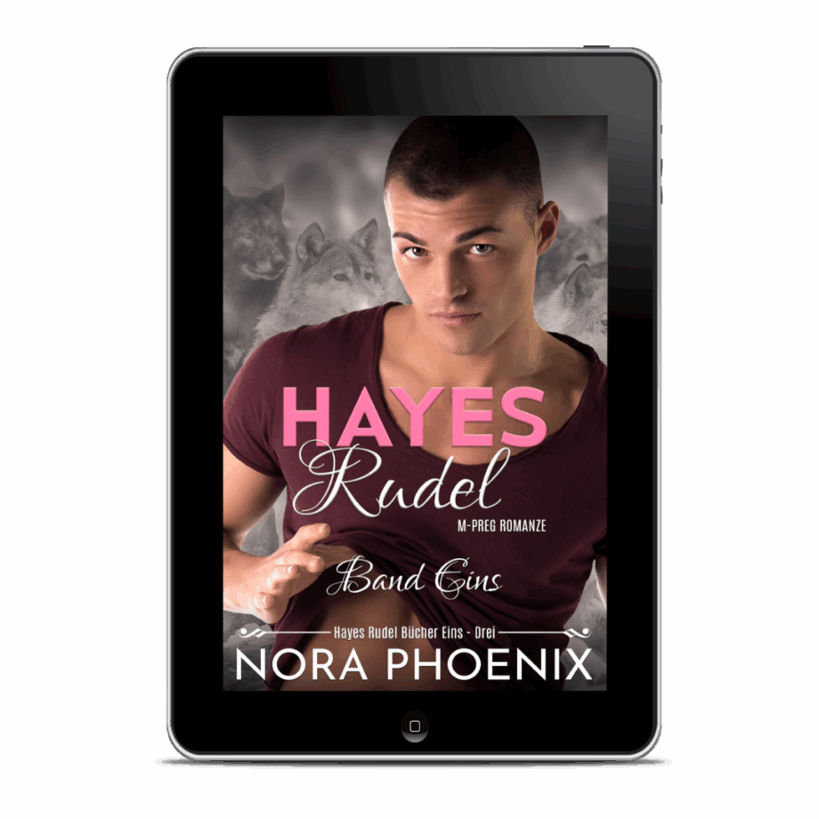 Hayes Rudel Band Eins: Hayes Rudel Bücher Eins - Drei