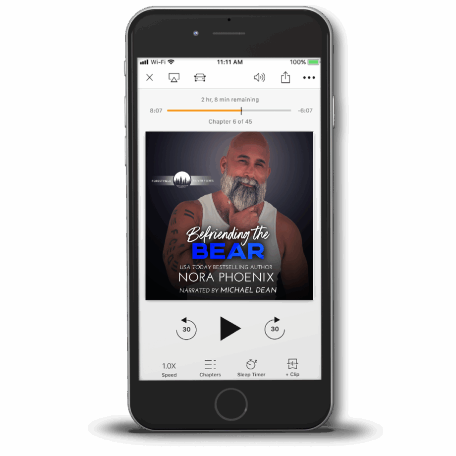 Befriending the Bear Audiobook