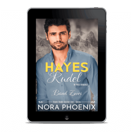 Hayes Rudel Band Zwei: Hayes Rudel Bücher Vier - Sechs