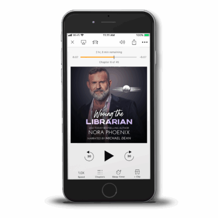 Wooing the Librarian Audiobook