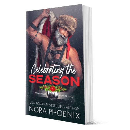 paperback 3d render of book Celebrating the Season by Nora Phoenix