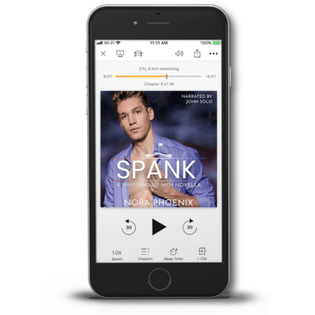 3D render audiobook of Spank by Nora Phoenix