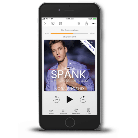 3d render audiobook of Spank by Nora Phoenix